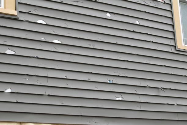 Best Historical Building Siding Restoration  in Manana, HI